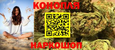сатива Камышлов