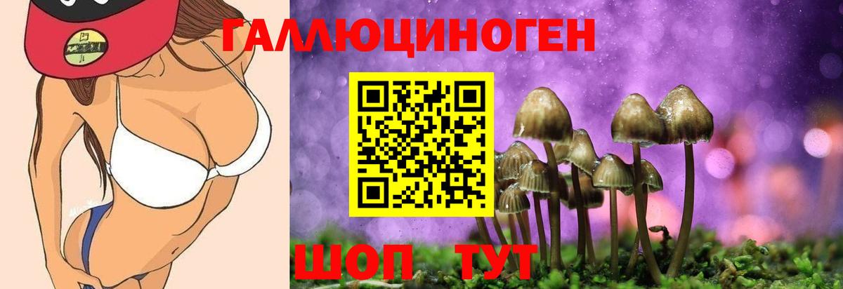 Галлюциногенные грибы мицелий Краснодар
